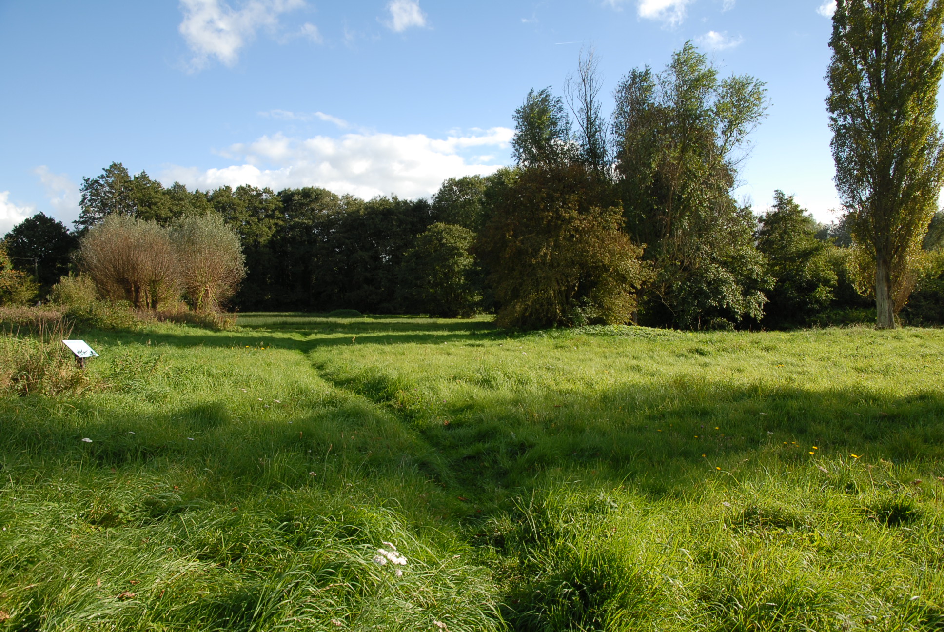 Village Green