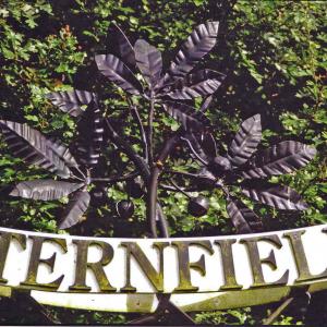 Sternfield Sign