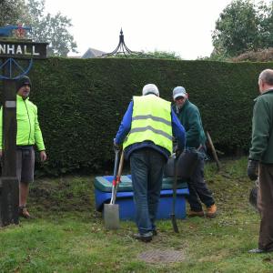 Daffodil Planting
